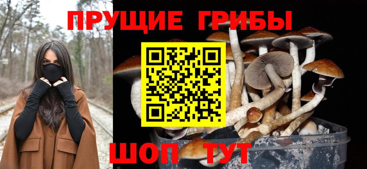 Галлюциногенные грибы Psilocybe Отрадное